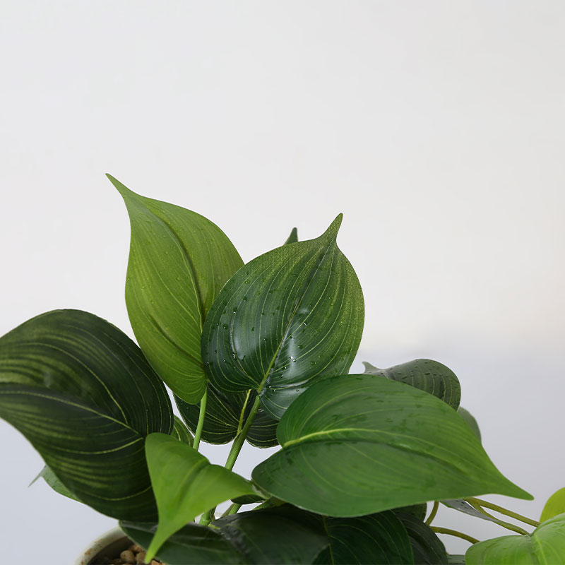 Искусственное растение в горшке Epipremnum aureum